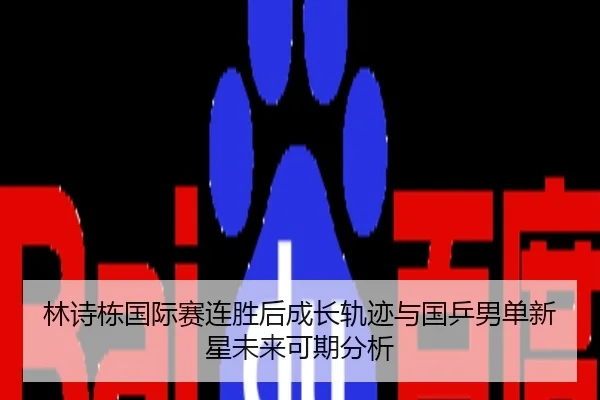 林诗栋国际赛连胜后成长轨迹与国乒男单新星未来可期分析