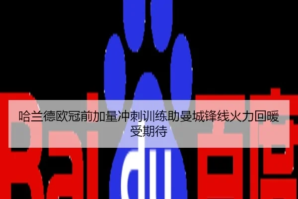 哈兰德欧冠前加量冲刺训练助曼城锋线火力回暖受期待